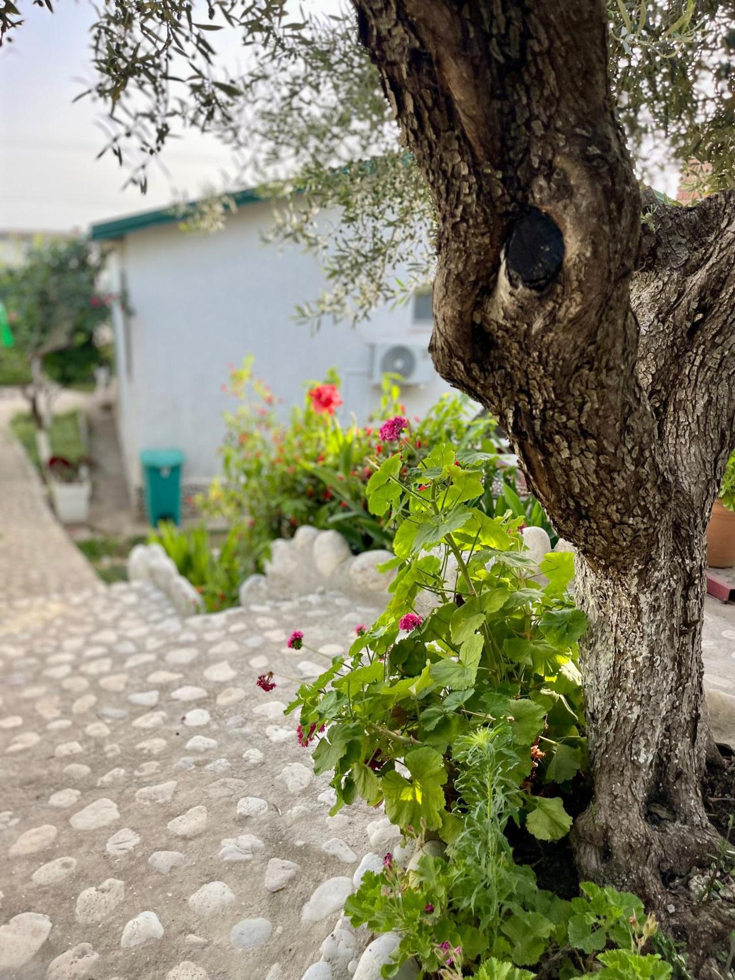 Chalet Ambel Dhermi Ngoại thất bức ảnh