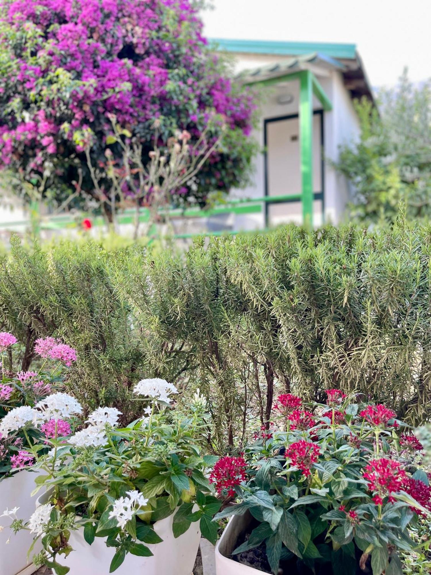 Chalet Ambel Dhermi Ngoại thất bức ảnh