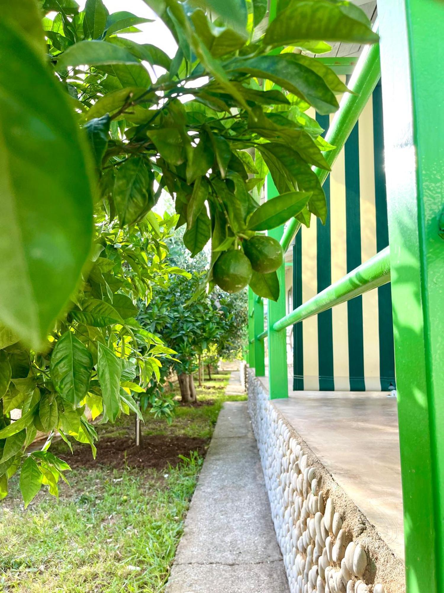 Chalet Ambel Dhermi Ngoại thất bức ảnh